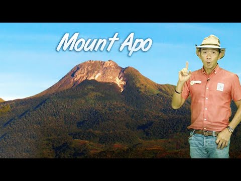 Video: Ano ang pinakamataas na elevation sa isang rainforest?