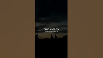 القارئ عبدالرحمن مسعد/سورة مريم