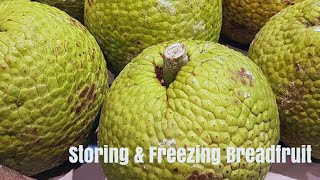 Storing & Freezing Breadfruit | Food & Tunes