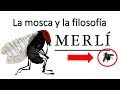 La mosca y la filosofia