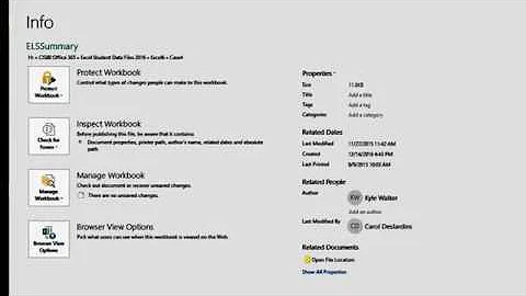 Excel 2016, Module 6 Case 4, Step 6