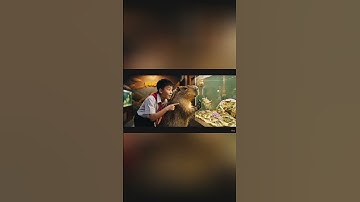 Capy giúp Khoa tìm lại CUA SIÊU CẤP #bavacapybara #capybara