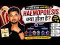 Lecture -5|Bone Marrow का Secret 😳 | Blood Cells कैसे बनते हैं? | Haemopoiesis|