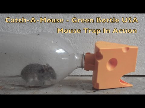 d-CON Ultra Set Covered Mouse Trap In Action - Full Review.. Mouse Trap  Monday. 