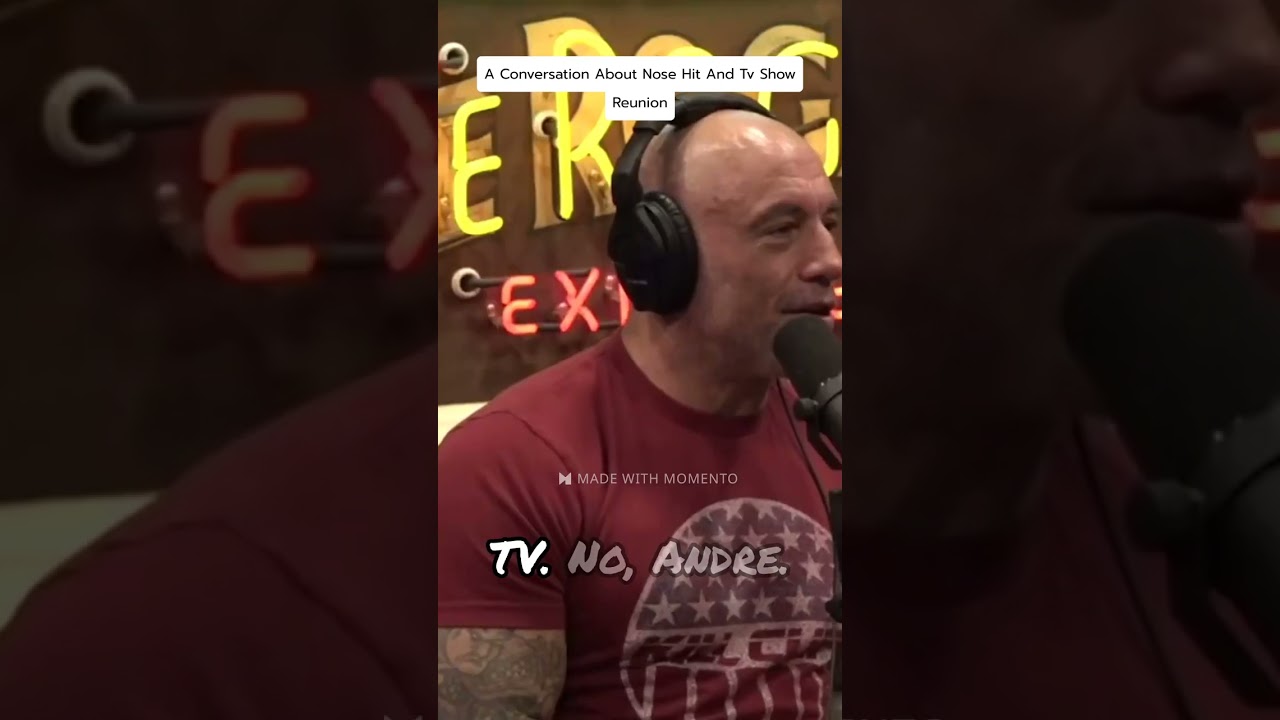 Hulk Hogan: A Conversation About Nose Hit And Tv Show Reunion