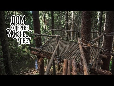 Финал проекта "Дом на дереве и жизнь в лесу"
