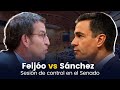 🔴 DIRECTO | Primer cara a cara entre Sánchez y Feijóo en el Senado