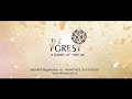 The Forest- Experience Life in Nature's Lap where the Modern Meets the Wild