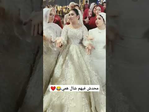 محدش فيهم شال همي     