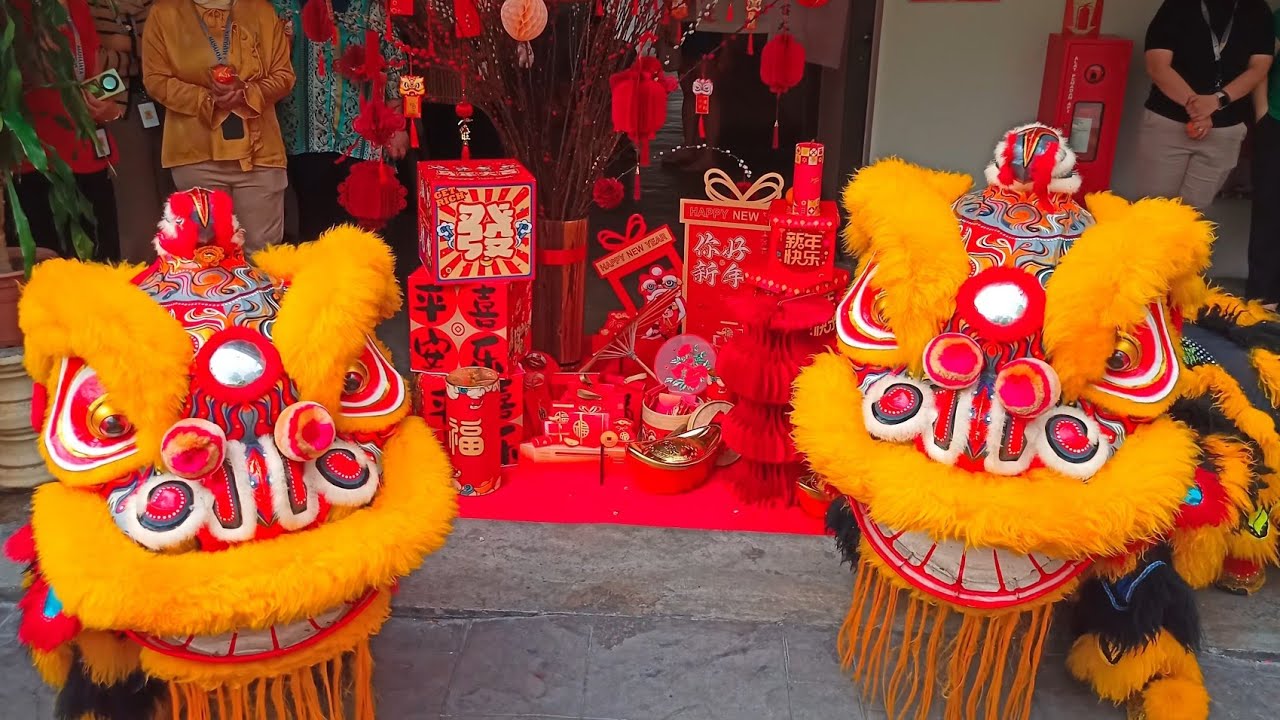 Lion Dance - Power in the roar. 🦁🔥