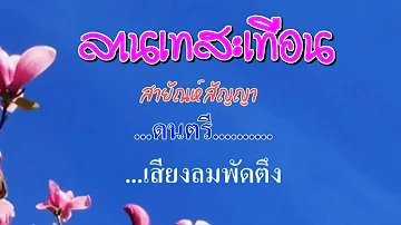 ♬ลานเทสะเทือน สายัณห์ สัญญา #karaoke #คาราโอเกะ