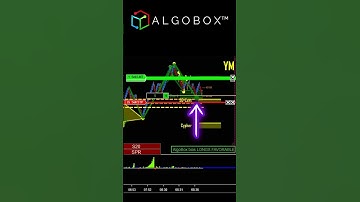 WATCH: Trade The HMD 🔴 LIVE - AlgoBox - Real Time Order Flow Analysis RTOFA | NinjaTrader | Futures