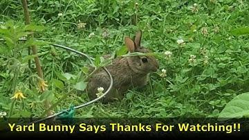 Episode 83 - Metal Detecting with the Nokta Makro simplex.  Short Hunt