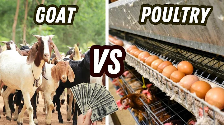 Goat Farming vs. Poultry: Which Pays Well?