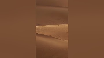 Vì sao cát biển và cát sa mạc không thể dùng để xây dựng?