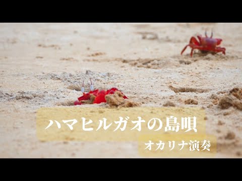 ハマヒルガオの島唄　オカリナ演奏
