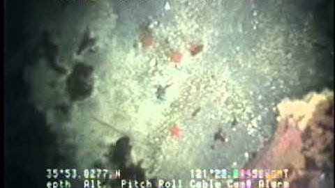 C0212SC_Tape15v.noaudio.mpg