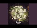 Rumble In The Jungle (Radio Edit)