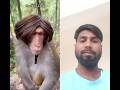 #monkey #duet #viralvideo