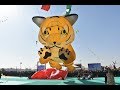 International Kite Festival 2019 At Ahmedabad