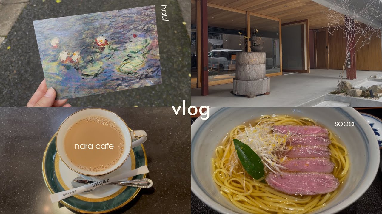 【 vlog 】のんびり奈良散歩｜カフェ｜おうち時間｜ガチャガチャ｜購入品