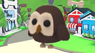 What is an Owl Worth