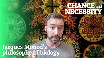 Toeval en noodzaak: Jacques Monods filosofie van de biologie