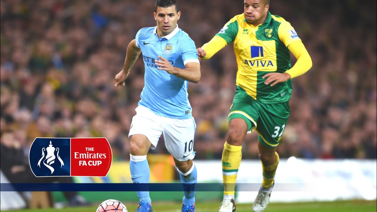 Best Goals - 3rd Round Emirates FA Cup 2015/16 | Top Five