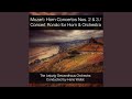 Miniature de la vidéo de la chanson Konzert Für Horn Und Orchester Es-Dur K 447: I. Allegro