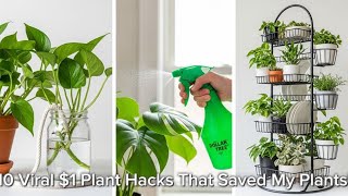 10 VIRAL Dollar Tree Houseplant Hacks That ACTUALLY Work (Self-Watering, Pests, Propagation)