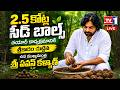 LIVE : 2.5 కోట్ల సీడ్ బాల్స్ తయారీ కార్యక్రమానికి శ్రీకారం చుట్టిన DCM పవన్ కళ్యాణ్ | TV1 TELUGU