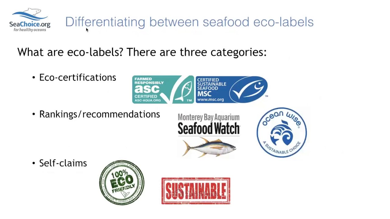 SeaChoice Webinar on seafood labelling and traceability - YouTube
