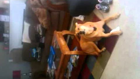 Video from My Phone