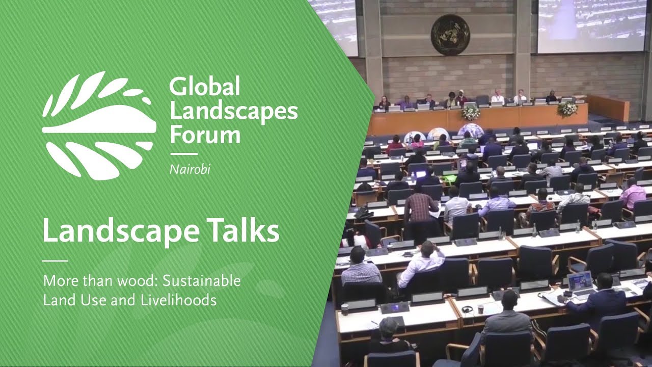 Landscape Talks - More than wood: Sustainable Land Use and Livelihoods