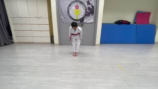 Wt Taegeuk 1 Poomsae ,Children 10-11,Ruby Li,0216