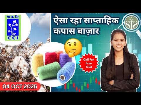 साप्ताहिक कपास बाजार पर एक नज़र 😱 || Weekly Cotton Market Review #smartinfo #kapas #cotton