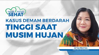 Kenapa Kasus Demam Berdarah Tinggi saat di Musim Penghujan, Begini Alasannya