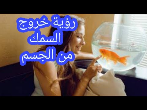 تفسير رؤية خروج السمك من الجسم في المنام للرجل والمرأة