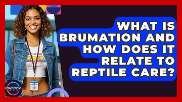 What Is Brumation And How Does It Relate To Reptile Care? - Conventions Network