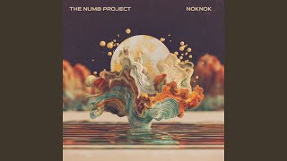 Nok Nok