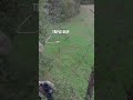 Deer Hunger vs Triple Grip Deer Feed (Best Deer Attractant?)