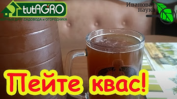 КВАС ХЛЕБНЫЙ без дрожжей: очищает сосуды и нормализует давление. Полезный домашний продукт без химии