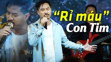 Nghe Thử 1 Lần Bạn Sẽ Không Hối Hận - Nhạc Vàng Xưa Hay Nghe mà 