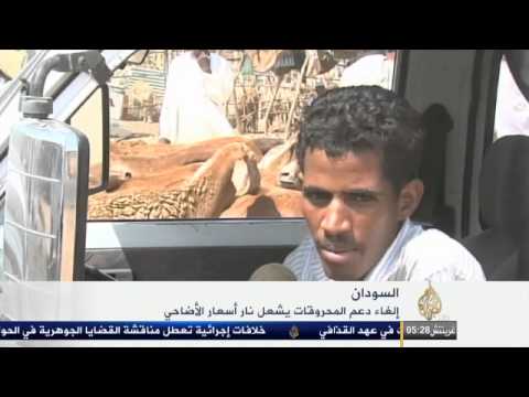 اشتعال أسعار الأضاحي في السودان