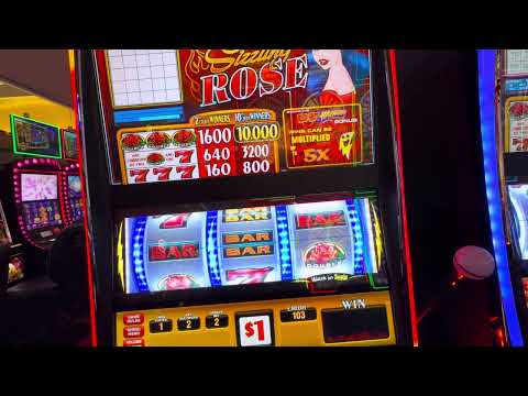Dave Causier vs Martin Goodwill | Semi Finals | 2024 Macau Casino World Matchplay Championship