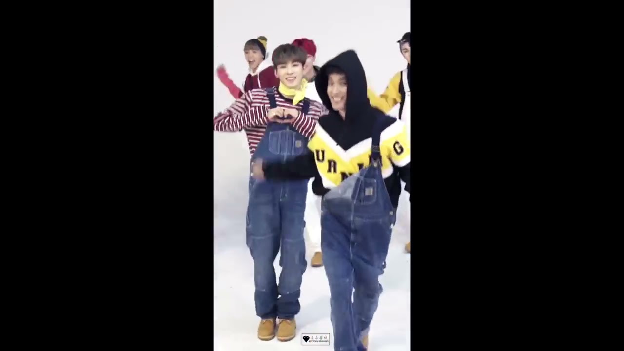 [세븐틴/원우] 슈퍼주니어 행복 Choreography Video 원우 포커스