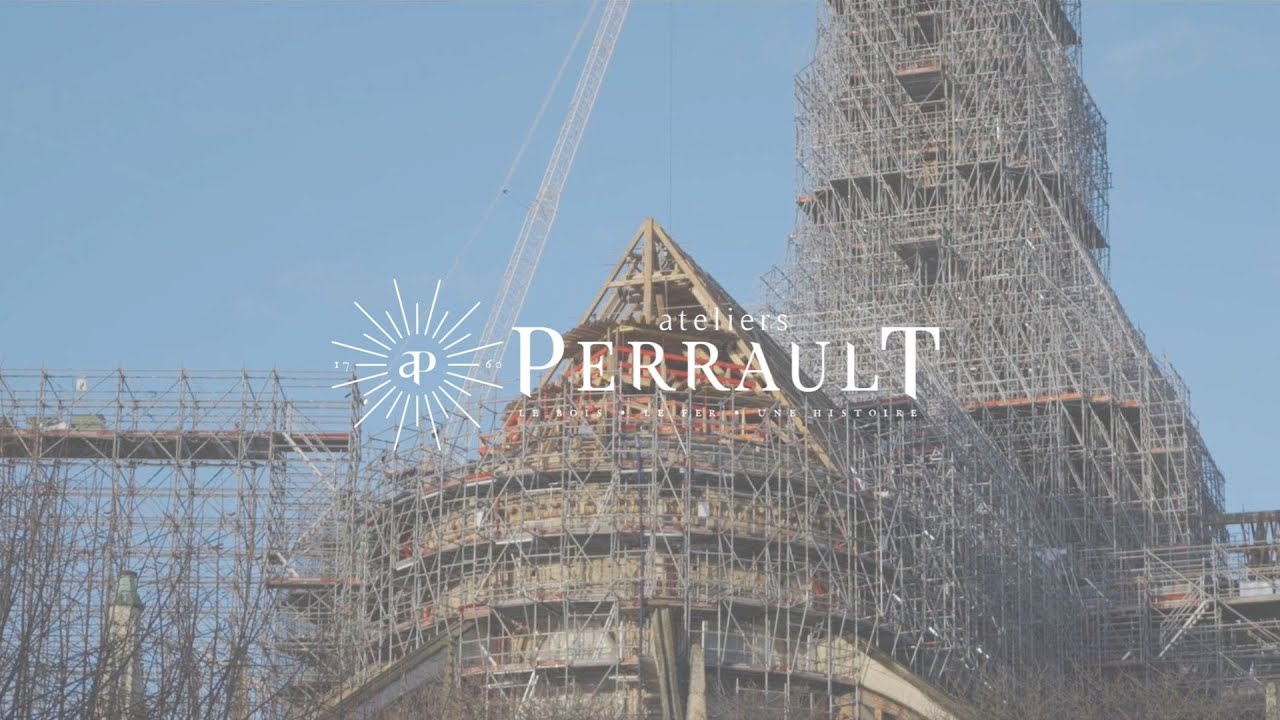 📍 De la forêt à la forêt…en vidéo