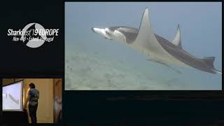 SF19EU SharkBytes (Sake Blok)
