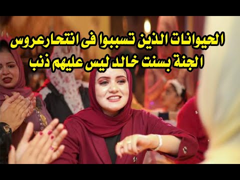 بسنت خالد عروس الجنة الحيوانات الذين تسببوا فى انتحارها ليس عليهم ذنب 