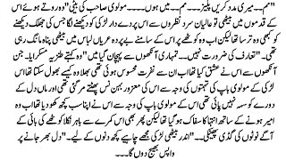 Urdu Novel\